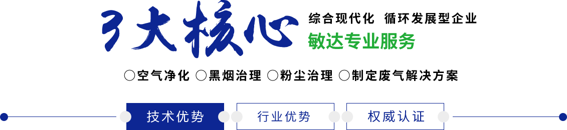 日韩操操……操学生B……敏达环保科技（嘉兴）有限公司